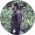 gp
