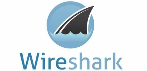 Wireshark Logo