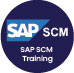 SAP Supply Chain Management Training Course Logo